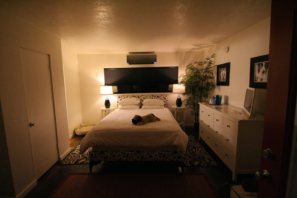 Dog Spa Resort (2690)
