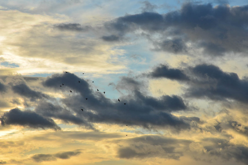 Ciel coloré