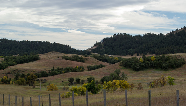 Rural WY (0515)