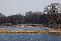 20120309 7577RTw Steinhorster Becken (150)