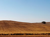 Alentejo