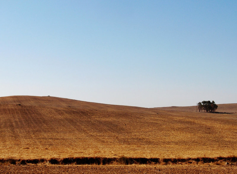 Alentejo
