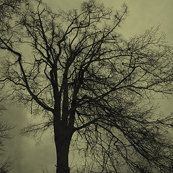 Grandeur et . . . Grandeur et . . .