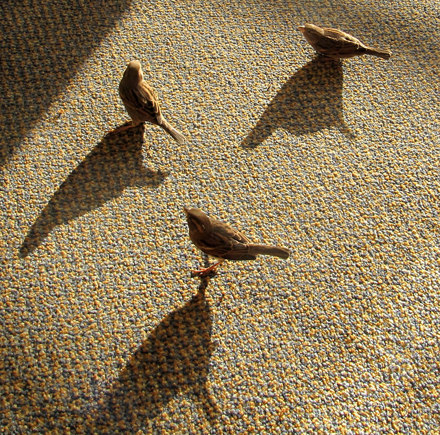 Besucher
