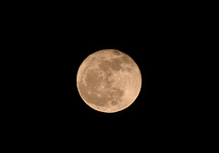 Mond 8.2.2012