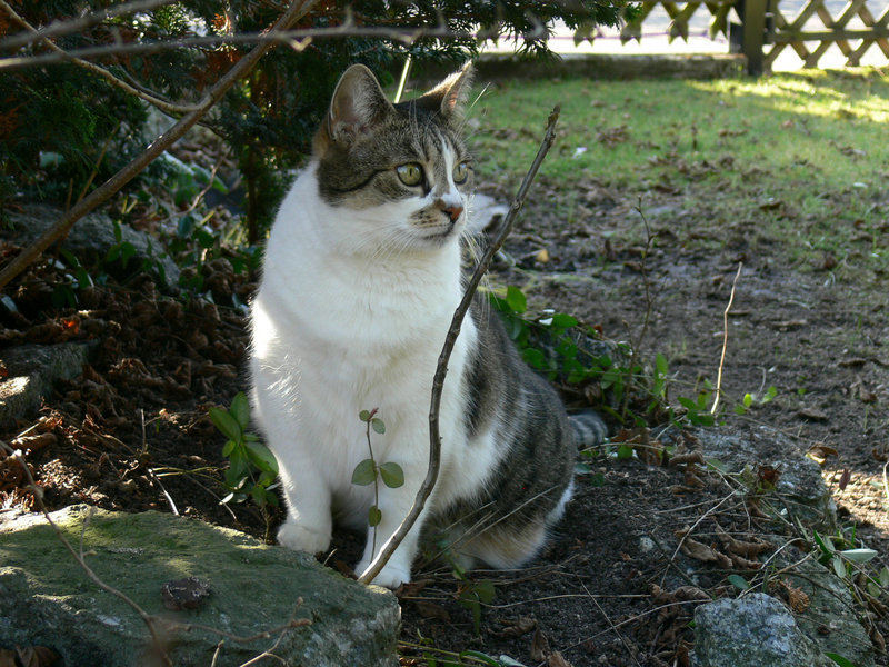 aufmerksam
