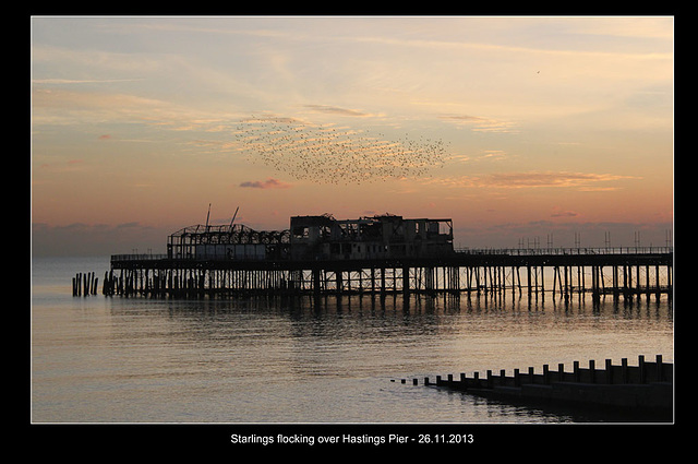 Starlings flocking over Hastings Pier - 26.11.2013