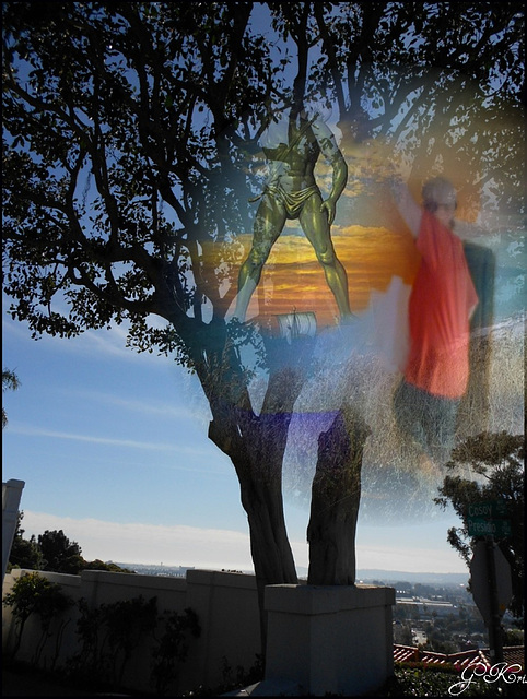 Tree with a view....Ben oui chacun sa vue :-))