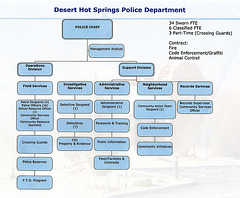 DHS Police Department Structure