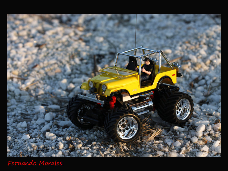 Mini Z Monster 002