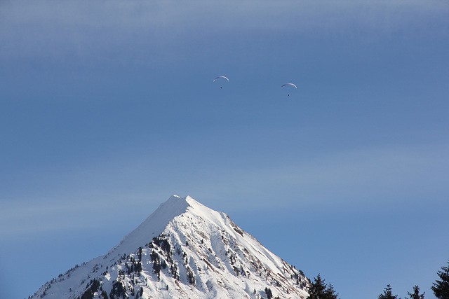 Winterfreude