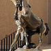 Balboa Park - Youth Taming The Wild by Anna Hyatt Huntington (2240)