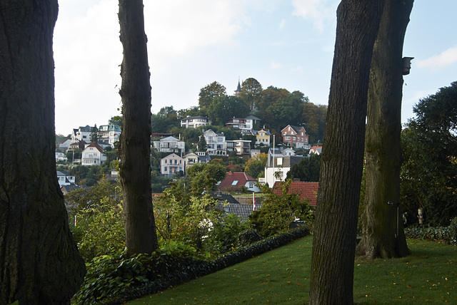 suellberg-1190971-co-12-10-14