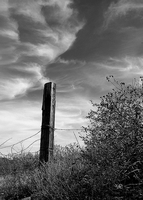 Fence Post