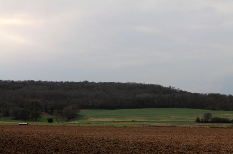 LA CAMPAGNE