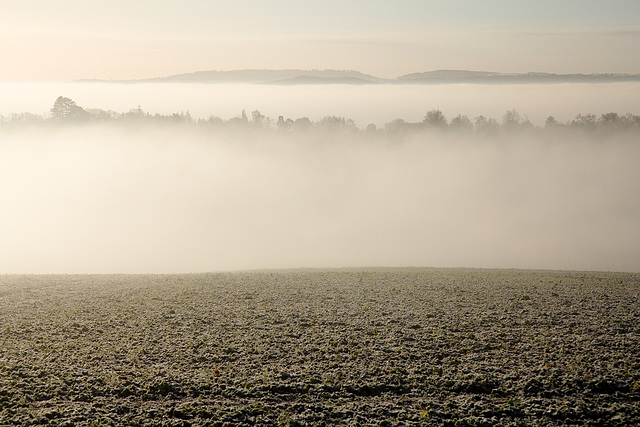 Mist Receding