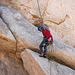Rock Climber (3602)