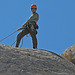 Rock Climber in Joshua Tree NP (3607)