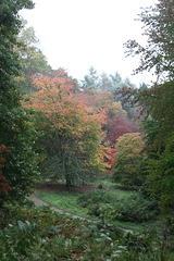 Wet autumn at Winkworth