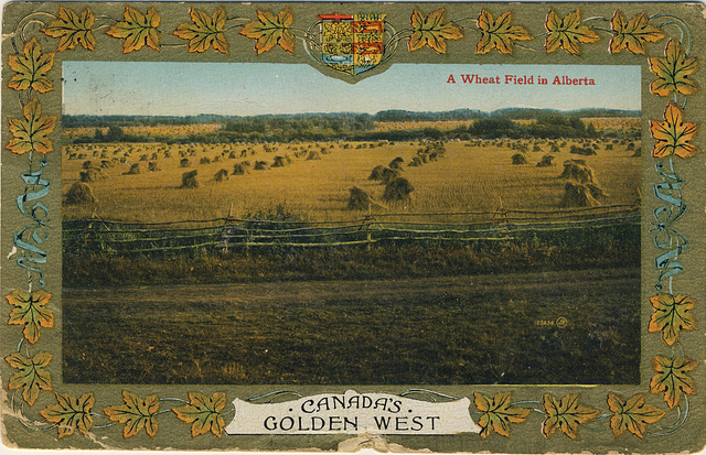 A Wheat Field in Alberta