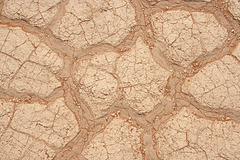 Parched Earth Mosaic