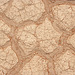 Parched Earth Mosaic