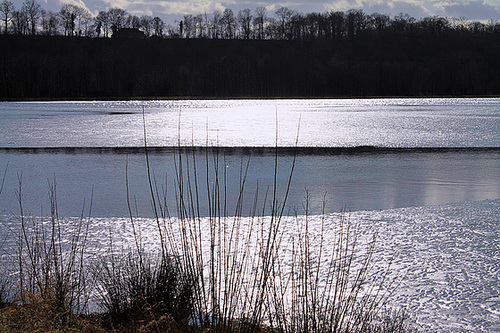 L'ETANG*****