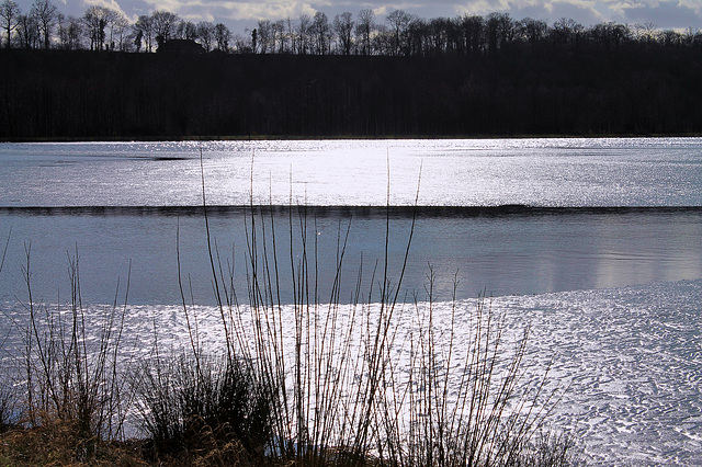 L'ETANG*****