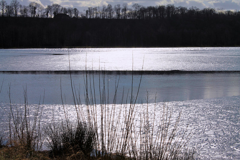 L'ETANG*****