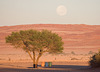 Big Moon in the Desert