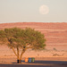 Big Moon in the Desert