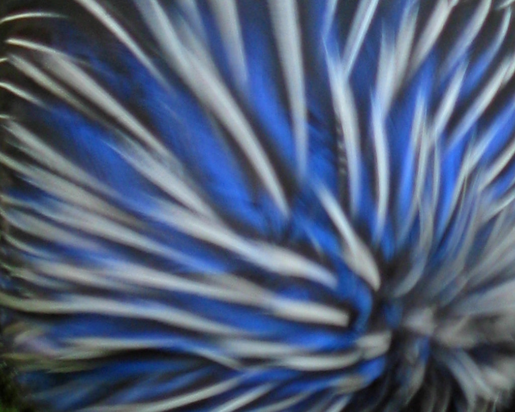 Blue-White Explosion