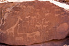 Twyfelfontein art