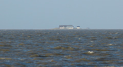 Hamburger Hallig - Hallig Koog