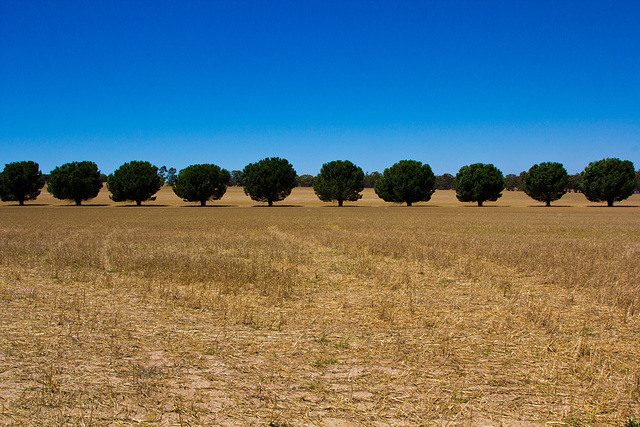 Landschaft 1