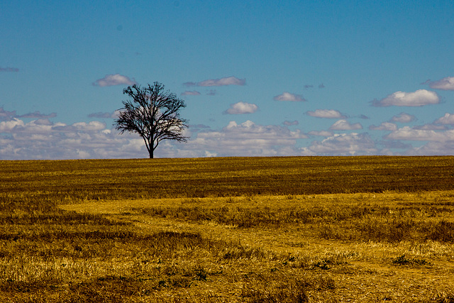 Landschaft 2