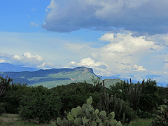 auf dem Weg nach Oaxaca