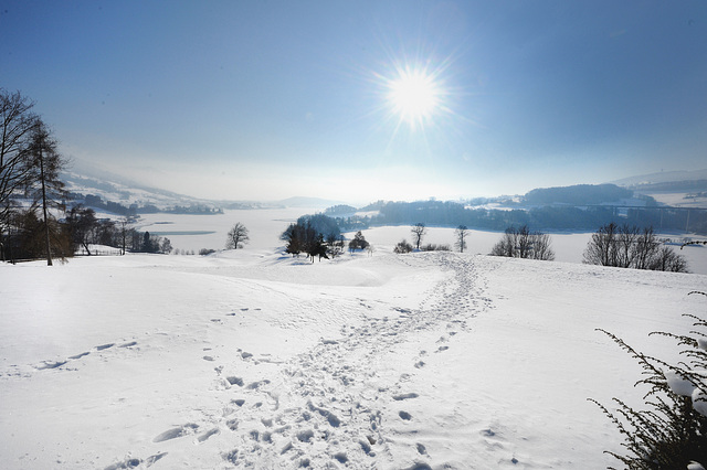 Le soleil brille au lac de Gruyères gelé...