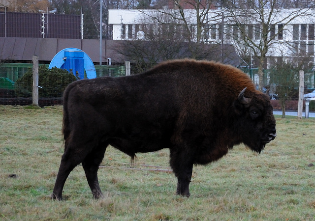 Vor dem atomaren Zwischenlager... - 111218