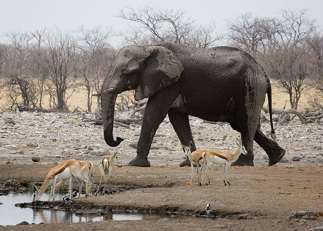 Little and Large