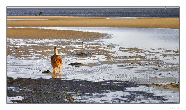 ein Tag mit wenig Meer