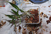 Sevrage d'un keiki de Dendrobium et rempotage (13)