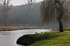 AU BORD DE L'EAU ***