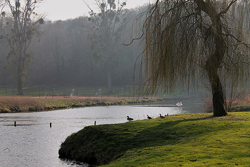 AU BORD DE L'EAU ***