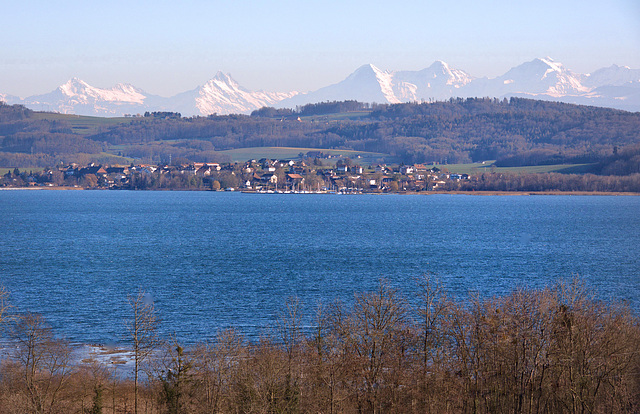 Le lac de Morat et les Alpes bernoises...