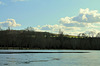 L'ETANG & SES ARBRES ****