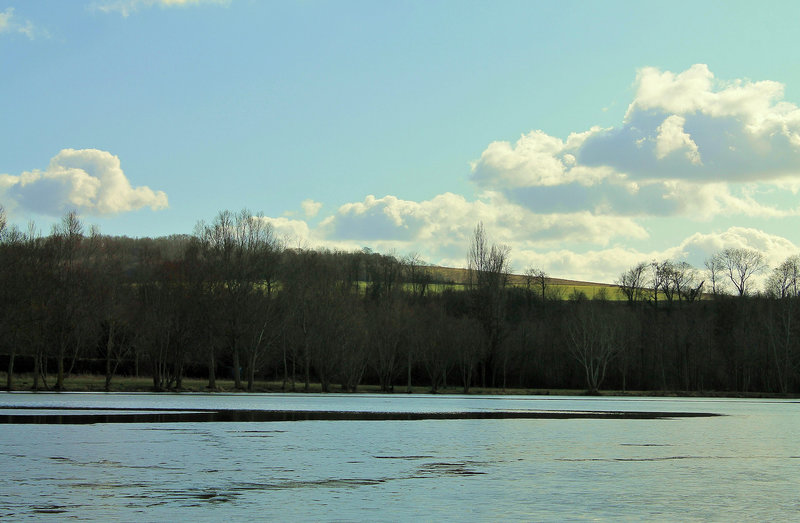L'ETANG & SES ARBRES ****