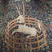The Unicorn in Captivity Tapestry in the Cloisters, October 2010