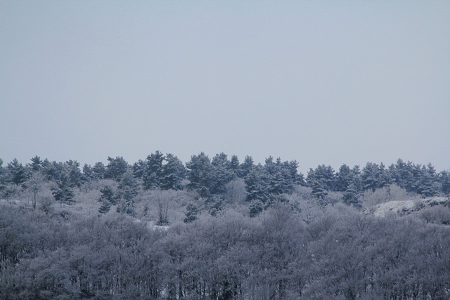 Janvier 2012 - 28