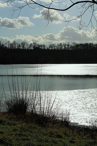 L'HIVER ****